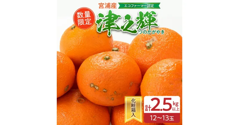 【ふるさと納税】数量限定 津之輝 計2.5kg以上 果物 フルーツ くだもの みかん 柑橘 先行予約 2025年 期間限定 デザート おやつ ジュース フルーツサンド おすすめ 国産 食品 ギフト 贈り物 贈答 ご褒美 お祝い 記念日 おすそ分け 産地直送 宮崎県 日南市 送料無料