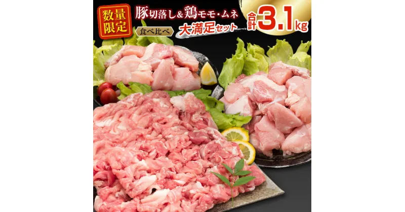 【ふるさと納税】数量限定 豚肉 切り落とし 鶏肉 モモ ムネ セット 小分け 合計3.1kg 国産 食品 ポーク チキン おかず 人気 大満足 万能食材 豚丼 焼肉 から揚げ とり天 炒め物 お弁当 おつまみ 詰め合わせ 食べ比べ おすすめ お取り寄せ おすそ分け 宮崎県 日南市 送料無料