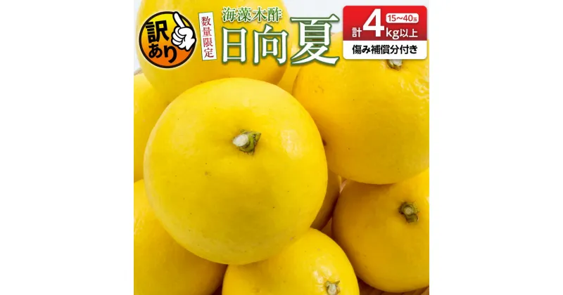 【ふるさと納税】先行予約 訳あり 数量限定 海藻木酢 日向夏 小夏 計4kg以上 傷み補償分付き 期間限定 フルーツ 果物 くだもの 柑橘 みかん 訳アリ 国産 食品 デザート おやつ おすそ分け おすすめ ご家庭用 ご自宅用 B品 傷 マーマレード 産地直送 宮崎県 日南市 送料無料