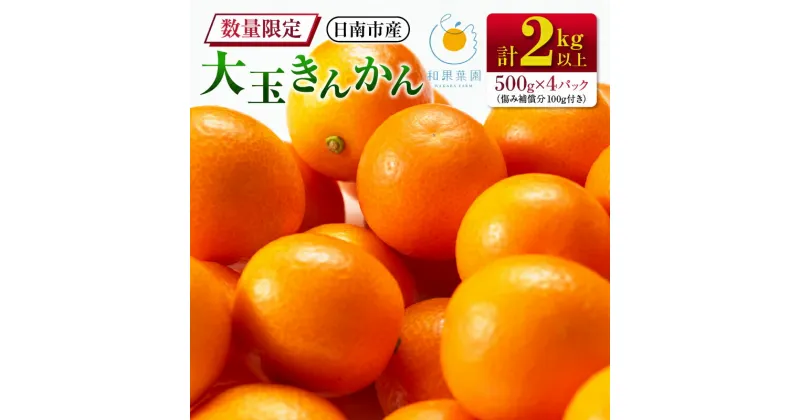 【ふるさと納税】食べ応え抜群 大玉 きんかん 計2kg以上 傷み補償分付き 数量限定 期間限定 フルーツ 果物 くだもの 柑橘 金柑 先行予約 国産 希少 人気 おすすめ ジャム おやつ デザート 小分け おすそ分け 贈り物 ギフト 贈答 ご褒美 産地直送 宮崎県 日南市 送料無料