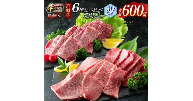 【ふるさと納税】数量限定 宮崎牛 6種 食べ比べ 焼肉 セット 合計600g 牛肉 ビーフ 黒毛和牛 ミヤチク 3D冷凍 国産 ヒレ 肩ロース ウデ バラ モモ ブランド牛 おかず 食品 お取り寄せ グルメ 鉄板焼き 焼き肉 希少部位 上品 高級 贅沢 ご褒美 お祝 宮崎県 日南市 送料無料