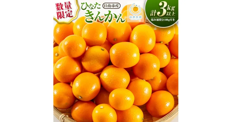 【ふるさと納税】数量限定 ひなたきんかん 計3kg以上 傷み補償分100g付き フルーツ 果物 柑橘 金柑 みかん オレンジ 人気 おすすめ おすそ分け お土産 プレゼント お取り寄せ グルメ 国産 食品 デザート スイーツ おやつ ブランド 特産品 産地直送 宮崎県 日南市 送料無料