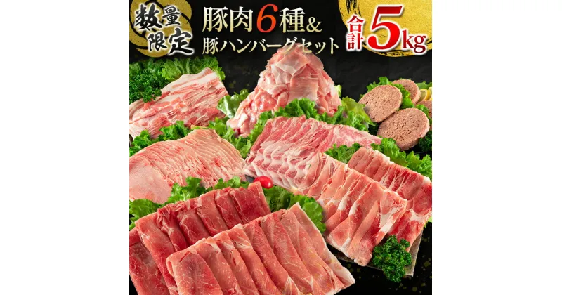 【ふるさと納税】数量限定 豚肉 6種 豚ハンバーグ セット 合計5kg ポーク 国産 ミヤチク スライス 小間切れ 豚ウデ 豚モモ 豚バラ 豚ロース 万能食材 大容量 小分け おかず お弁当 おつまみ 食品 生姜焼き 炒め物 ご褒美 お祝い 記念日 お取り寄せ 詰め合わせ 送料無料