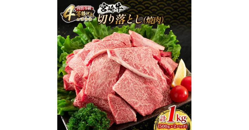 【ふるさと納税】宮崎牛 切り落とし 焼肉 計1kg 牛肉 国産 食品 おかず 黒毛和牛 万能食材 炒め物 ビーフ 人気 おすすめ お取り寄せ グルメ パーティー お祝 記念日 ご褒美 贅沢 高級 ブランド牛 ミヤチク BBQ キャンプ アウトドア グランピング 宮崎県 日南市 送料無料