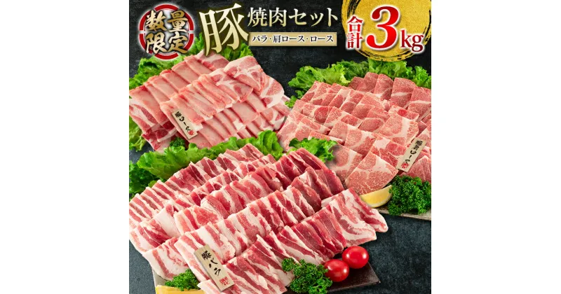 【ふるさと納税】数量限定 豚肉 焼肉 セット 合計3kg 豚バラ 豚ロース ポーク 詰め合わせ 国産 宮崎県産 ミヤチク おかず お弁当 おつまみ 食べ比べ 食品 バーベキュー キャンプ グランピング 人気 おすすめ 小分け お祝 記念日 バラエティ お取り寄せ 日南市 送料無料