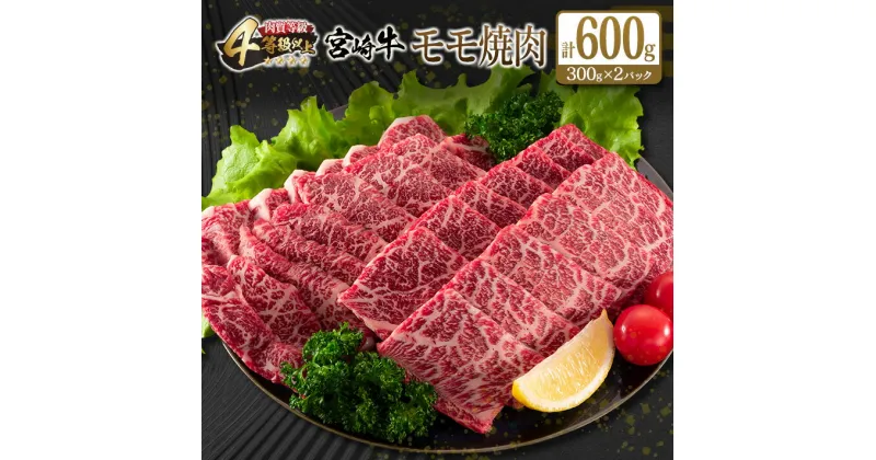 【ふるさと納税】宮崎牛 モモ 焼肉 計600g 牛肉 ビーフ 黒毛和牛 赤身肉 国産 ブランド牛 おすすめ BBQ グランピング 鉄板焼き おもてなし ご褒美 お祝い 記念日 おすそ分け おかず おつまみ お弁当 お取り寄せ グルメ 4等級以上 A4ランク以上 冷凍 宮崎県 日南市 送料無料