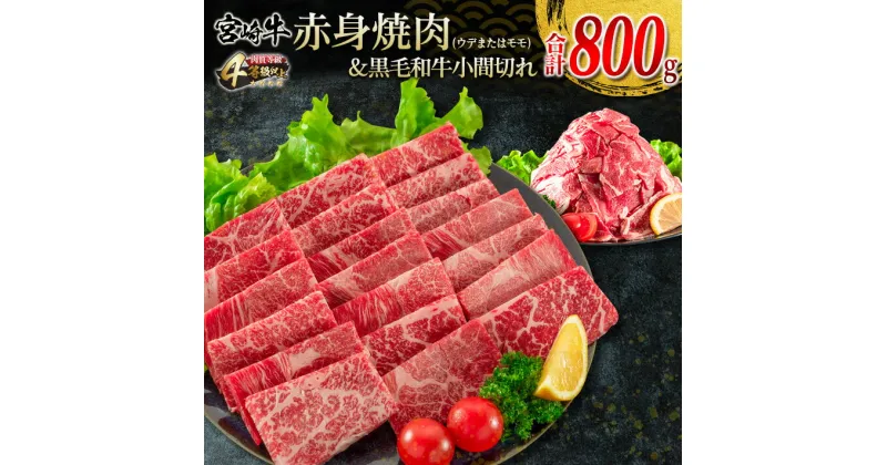 【ふるさと納税】宮崎牛 赤身 焼肉 黒毛和牛 小間切れ セット 合計800g 牛肉 ビーフ 国産 うで もも ブランド牛 人気 おすすめ 万能食材 食品 お取り寄せ グルメ 詰め合わせ 贅沢 ご褒美 お祝い 記念日 おかず 弁当 おつまみ BBQ 鉄板焼き おすそ分け 宮崎県 日南市 送料無料