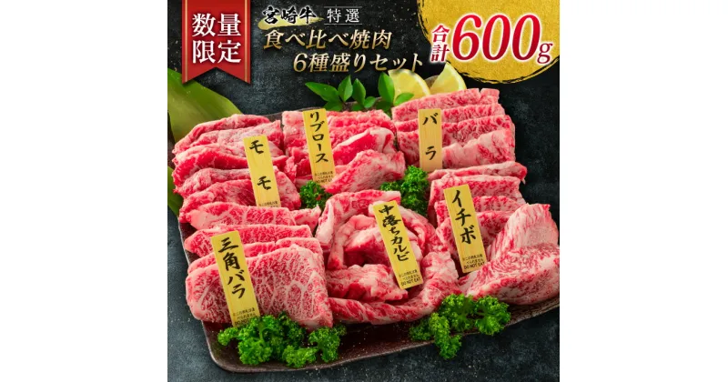 【ふるさと納税】数量限定 特選 宮崎牛 食べ比べ 焼肉 6種盛り セット 合計600g 牛肉 ビーフ 黒毛和牛 ロース 肩ロース カルビ バラ 赤身肉 霜降り 中落ち BBQ 贅沢 ご褒美 お祝い 記念日 おもてなし おかず 国産 食品 おすすめ お取り寄せ グルメ 宮崎県 日南市 送料無料