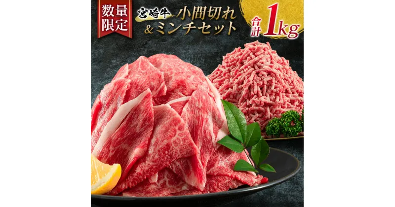 【ふるさと納税】数量限定 宮崎牛 小間切れ ミンチ セット 合計1kg 牛肉 ビーフ 黒毛和牛 国産 ブランド牛 食品 こま切れ 牛ミンチ 挽肉 万能食材 ハンバーグ おすすめ おかず おつまみ お弁当 ご褒美 お祝い 記念日 詰め合わせ お取り寄せ グルメ 宮崎県 日南市 送料無料