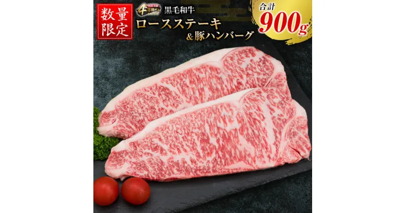 【ふるさと納税】数量限定 黒毛和牛 ロース ステーキ 250g × 2枚 豚肉 ハンバーグ 100g × 4個 合計900g 牛肉 ビーフ ポーク 国産 ミヤチク 簡単調理 BBQ おかず お弁当 おつまみ 焼肉 鉄板焼き 食品 人気 おすすめ お取り寄せ グルメ 詰め合わせ 宮崎県 日南市 送料無料