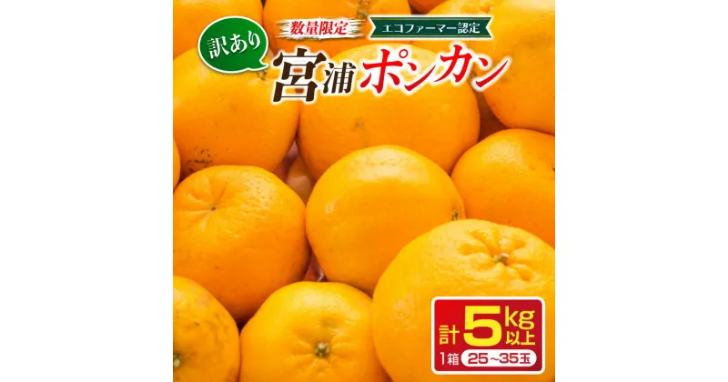 【ふるさと納税】先行予約 訳あり 数量限定 宮浦 ポンカン 計5kg以上 フルーツ 果物 くだもの 柑橘 みかん 国産 食品 期間限定 訳アリ おすすめ デザート おやつ フルーツサンド ジュース ご家庭用 ご自宅用 B品 おすそ分け 不揃い 傷 産地直送 宮崎県 日南市 送料無料