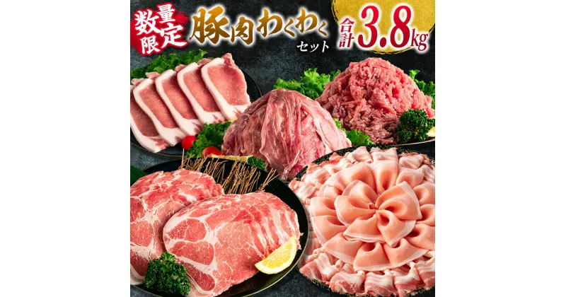 【ふるさと納税】数量限定 豚肉 わくわく セット 合計3.8kg ポーク 国産 豚ロース とんかつ スライス 豚切り落とし 豚バラ しゃぶしゃぶ ミンチ 挽肉 ハンバーグ すき焼き 弁当 おかず おつまみ 万能食材 真空パック 大容量 詰め合わせ お取り寄せ 宮崎県 日南市 送料無料