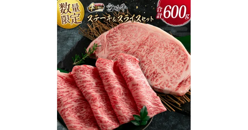 【ふるさと納税】数量限定 宮崎牛 ステーキ スライス セット 合計600g 牛肉 ビーフ 黒毛和牛 国産 食品 ミヤチク サーロイン ロース ブランド牛 すき焼き しゃぶしゃぶ おすすめ おかず 贅沢 ご褒美 お祝い 記念日 ギフト 贈り物 プレゼント 贈答 お取り寄せ グルメ 送料無料