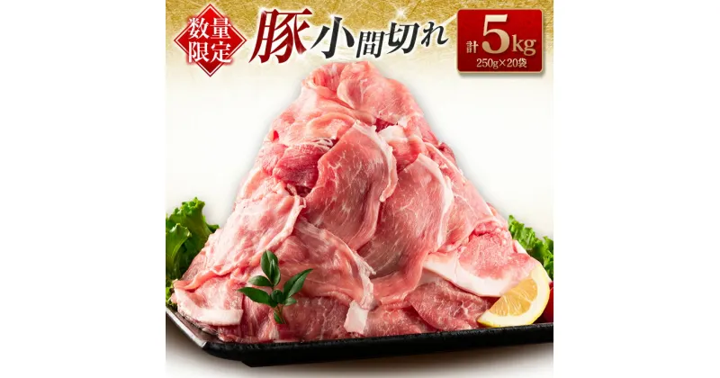 【ふるさと納税】数量限定 豚小間切れ 計5kg 豚肉 ポーク 国産 食品 豚こま こま切れ肉 おすすめ ご褒美 お祝い 記念日 晩ご飯 炒め物 野菜炒め 豚汁 カレー おかず お弁当 おつまみ 万能食材 大容量 小分け 個包装 お取り寄せ グルメ おすそ分け 宮崎県 日南市 送料無料