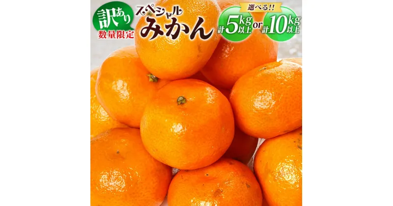 【ふるさと納税】訳あり 数量限定 スペシャルみかん 5kg 10kg 期間限定 フルーツ 果物 柑橘 ミカン オレンジ 人気 おすすめ おすそ分け お土産 ご家庭用 訳アリ お取り寄せ グルメ 国産 食品 デザート スイーツ おやつ ブランド 希少 特産品 産地直送 宮崎県 日南市 送料無料