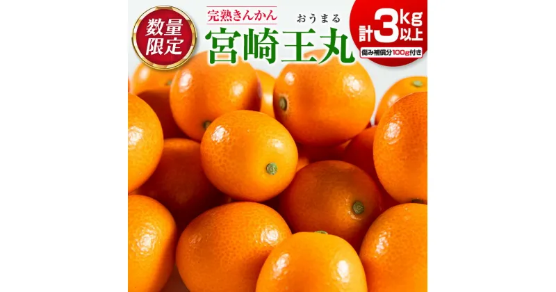 【ふるさと納税】数量限定 完熟 きんかん 宮崎王丸 計3kg以上 傷み補償分100g付き フルーツ 果物 期間限定 柑橘 金柑 みかん オレンジ 人気 おすすめ おすそ分け お土産 ギフト プレゼント お取り寄せ グルメ 国産 食品 デザート 特産品 産地直送 宮崎県 日南市 送料無料