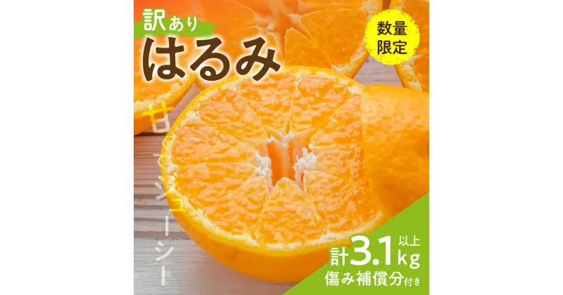 【ふるさと納税】先行予約 訳あり 数量限定 はるみ 計3.1kg以上 傷み補償分付き 期間限定 フルーツ 果物 くだもの みかん オレンジ 柑橘 国産 食品 不揃い 傷 規格外 訳アリ ご家庭用 ご自宅用 おすそ分け おすすめ デザート おやつ 産地直送 宮崎県 日南市 送料無料