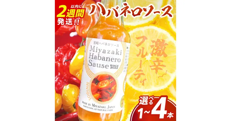 【ふるさと納税】爽やか激辛食感 フルーティなハバネロソース ≪本数が選べる≫ 数量限定 宮崎 ハバネロ ソース 1本 2本 3本 4本 激辛ソース 調味料 おすすめ 加工品 オリジナル ブレンド 肉料理 パスタ ピザ ギフト プレゼント 贈り物 お取り寄せ 宮崎県 日南市 送料無料