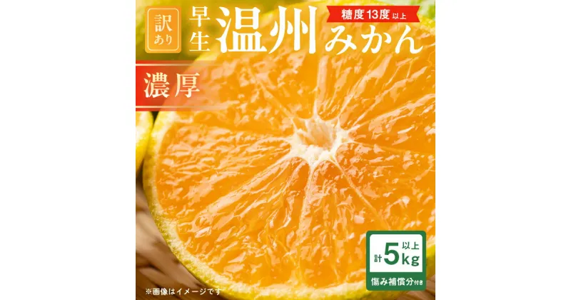 【ふるさと納税】糖度13度以上 先行予約 訳あり 数量限定 早生 温州みかん 計5kg以上 傷み補償分付き 期間限定 フルーツ 果物 くだもの 柑橘 蜜柑 ミカン 国産 わけあり おすすめ おすそ分け おやつ デザート 食品 フルーツサンド みかんジュース 宮崎県 日南市 送料無料