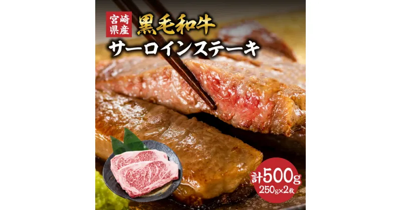 【ふるさと納税】宮崎県産 黒毛和牛 サーロインステーキ 計500g(250g×2枚) 肉 牛肉 ビーフ 国産 ステーキ肉 おかず 食品 BBQ バーベキュー 焼肉 鉄板焼き おすすめ 人気 個包装 小分け 真空パック お祝い 記念日 ご褒美 贈り物 ギフト プレゼント 宮崎県 日南市 送料無料