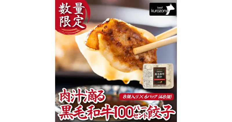 【ふるさと納税】【数量限定】黒毛和牛100％餃子 計48個（8個×6P 黒毛和牛 餃子 ギョーザ 中華 限定 冷凍）