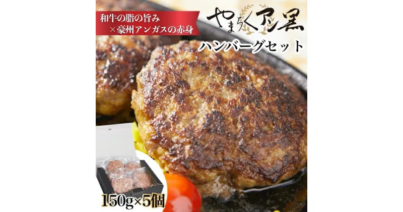 【ふるさと納税】やまちくアン黒ハンバーグ5個セット（ハンバーグ 牛肉 牛肉100% 国産 冷凍 調理済 宮崎 惣菜 小林市）