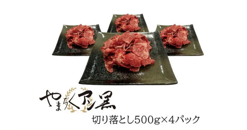 【ふるさと納税】やまちくアン黒切落し　500g×4P