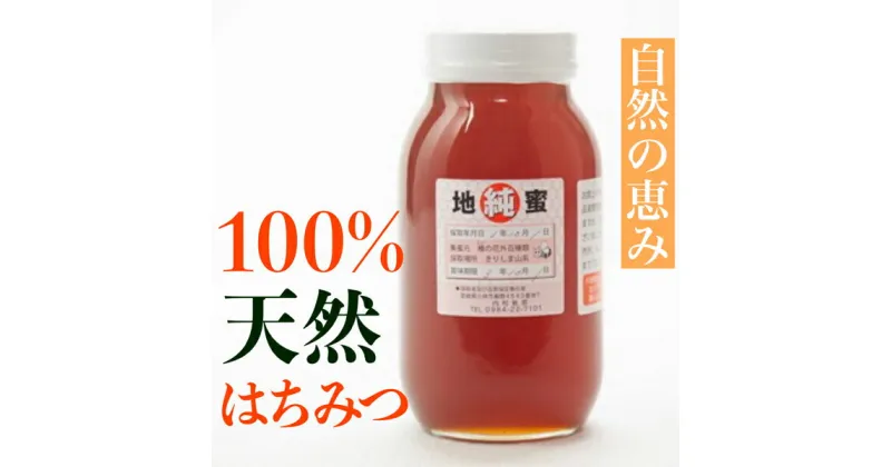 【ふるさと納税】100％天然はちみつ 1200g