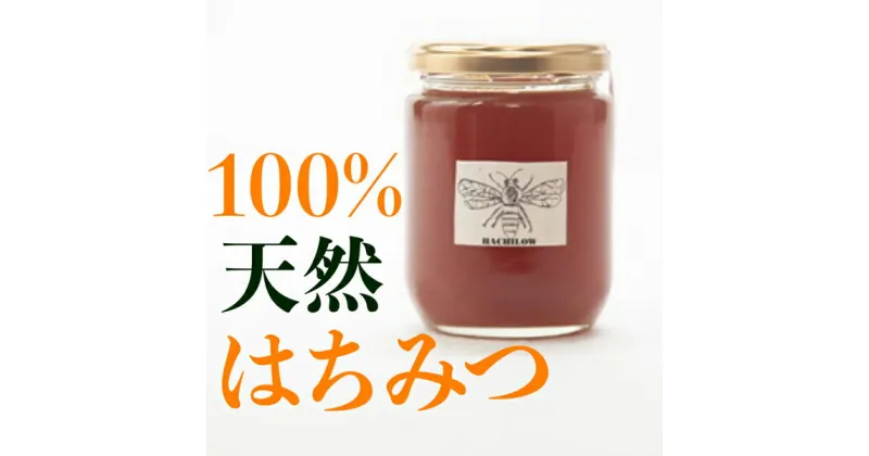 【ふるさと納税】はちろう100％天然はちみつ　320g