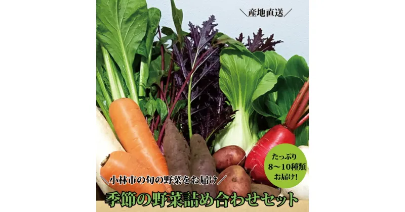 【ふるさと納税】【自然が育む新鮮野菜】こばやし季節の野菜詰め合わせセット