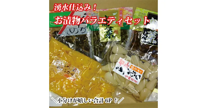 【ふるさと納税】【国産素材の宮崎お漬物】湧水仕込みのお漬物　ごはんのお供よくばりセット