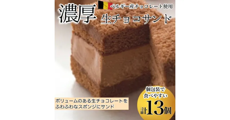 【ふるさと納税】【チョコまみれ】濃厚生チョコサンド　個包装13個入り