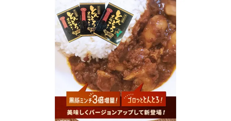 【ふるさと納税】【ご当地カレー】黒豚トントロ肉とあらびきミンチの濃厚“とんとろカレー”