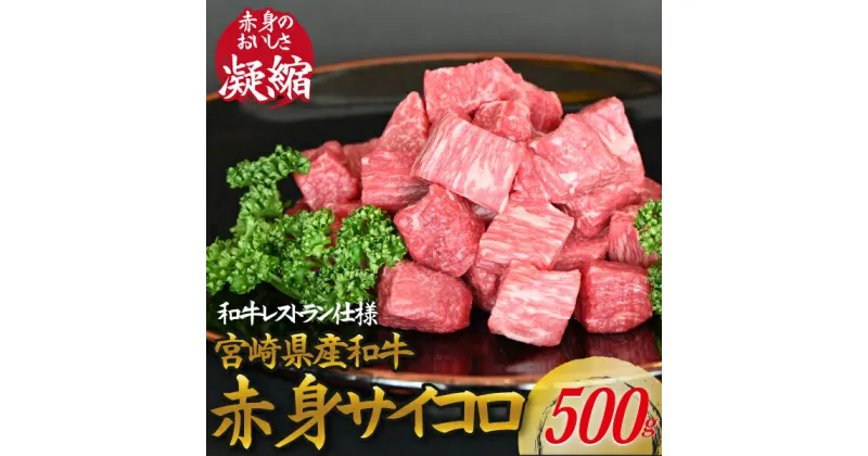 【ふるさと納税】【和牛レストラン仕様】宮崎県産和牛赤身サイコロ　500g 牛肉 肉 宮崎 宮崎県 サイコロステーキ ステーキ 赤身 和牛