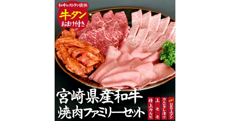 【ふるさと納税】【おまけ付き】宮崎県産和牛焼肉ファミリーセット