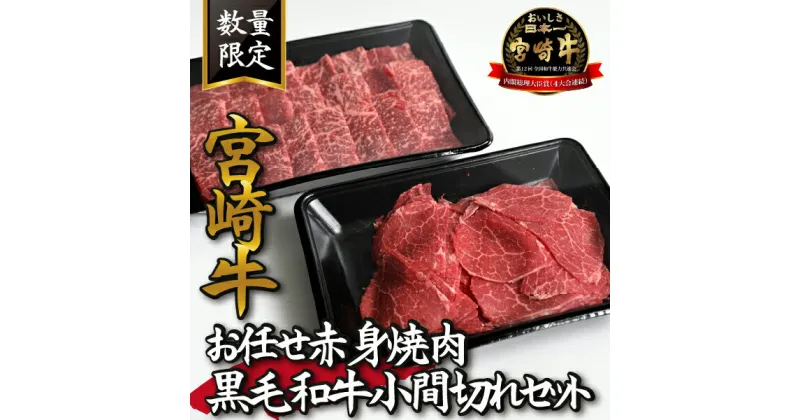 【ふるさと納税】【特別提供品】宮崎牛お任せ赤身焼肉と黒毛和牛小間切れセット