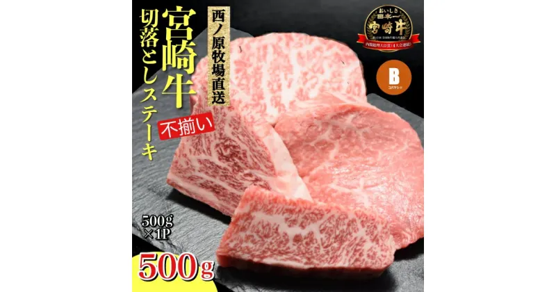 【ふるさと納税】【生産者まかない用特別提供品】特別提供・宮崎和牛不揃いカットステーキ 500g（国産 牛肉 国産牛 和牛 黒毛和牛 赤身 不揃い ステーキ 焼肉）