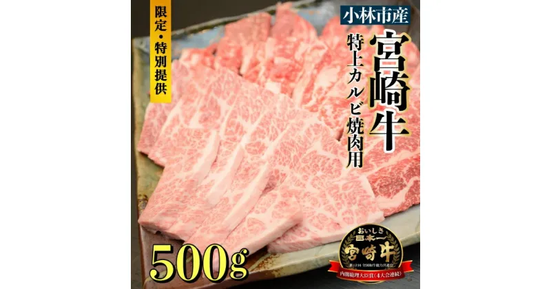 【ふるさと納税】【直売・特別提供品】A5等級小林市産宮崎牛特上カルビ焼肉用500g（国産 牛肉 国産牛 和牛 黒毛和牛 宮崎牛 カルビ 上カルビ 焼肉）