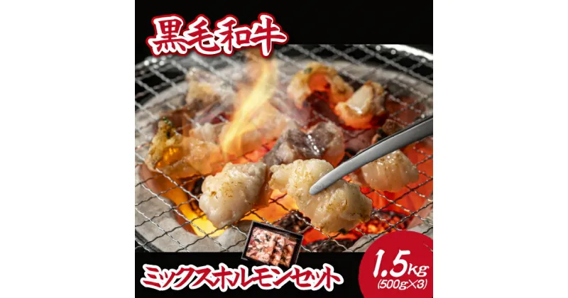 【ふるさと納税】【自社農場和牛】黒毛和牛ミックスホルモン 1.5kg（国産 黒毛和牛 牛肉 ホルモン 焼肉 BBQ 冷凍 送料無料）