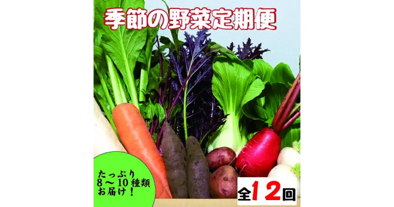 【ふるさと納税】【野菜の定期便】こばやし季節の野菜詰め合わせセット　全12回