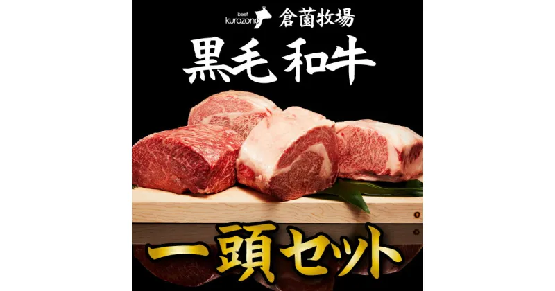 【ふるさと納税】【C171・倉薗牧場直送】長期育成牛・小林市産くらぞの黒毛和牛　一頭セット