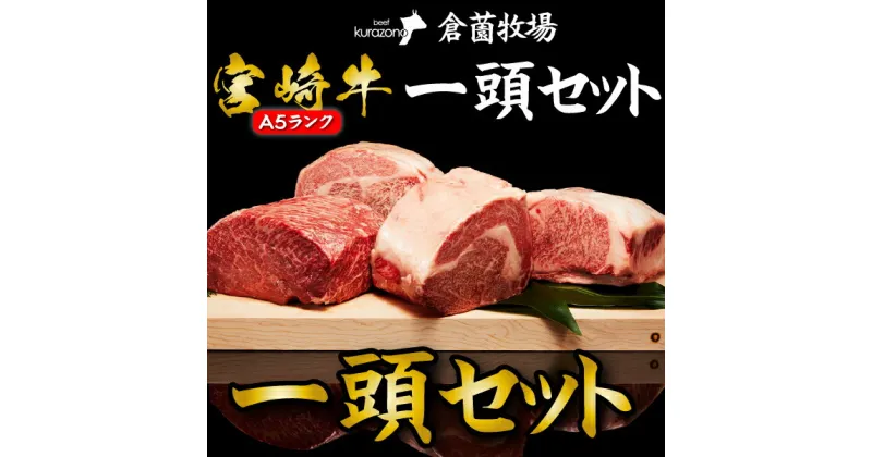 【ふるさと納税】【C172・倉薗牧場直送】長期育成牛・小林市産くらぞの宮崎牛A5等級　一頭セット