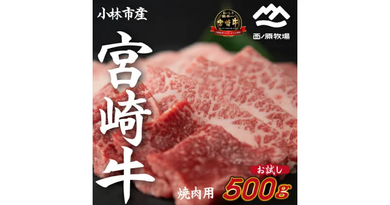 【ふるさと納税】【生産直送】 国産 牛肉 宮崎牛 おためし焼肉　500g×1P（お肉 モモ ウデ すき焼き 焼肉 赤身）