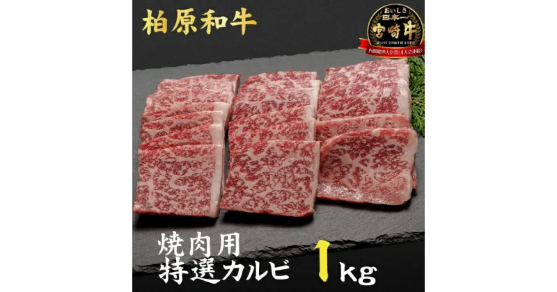 【ふるさと納税】【自社農場宮崎牛】柏原和牛焼肉・特選カルビ　1キロ