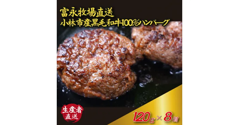 【ふるさと納税】【自社農場和牛】富永和牛手作りハンバーグ（ハンバーグ 牛肉 牛肉100% 国産 冷凍 調理済 宮崎 惣菜 小林市）