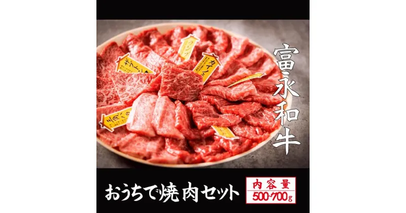 【ふるさと納税】【自社農場和牛】富永和牛おうちで焼肉セット（国産 牛肉 和牛 赤身 霜降り 焼肉 BBQ 限定）