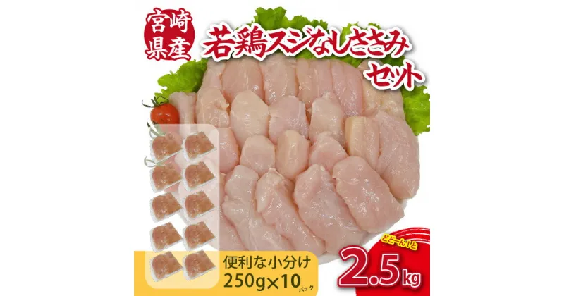 【ふるさと納税】【手間いらず！】宮崎県産若鶏スジなしささみ2.5kgセット（250g×10P 国産 鶏肉 若鶏 ササミ 大容量 冷凍）