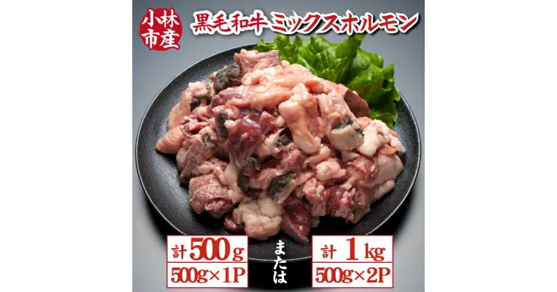 【ふるさと納税】【自社農場和牛】黒毛和牛ミックスホルモン（国産 牛肉 黒毛和牛 ホルモン 焼肉 BBQ 冷凍）