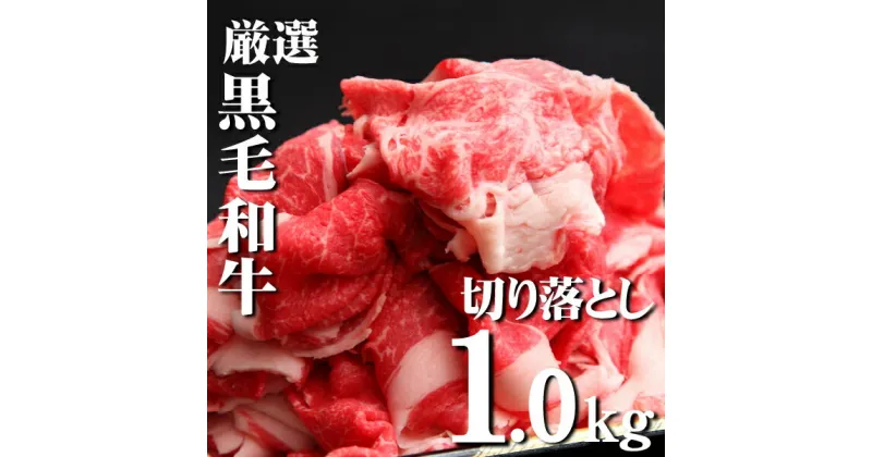 【ふるさと納税】【黒毛和牛専門店直送】厳選黒毛和牛切り落とし 1.0kg（500g×2P 国産 牛肉 和牛 薄切り スライス 切り落とし 赤身 訳あり 特別提供）