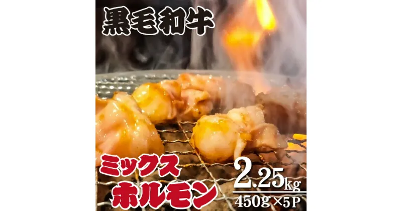 【ふるさと納税】黒毛和牛ミックスホルモン 450g×5P（牛肉 黒毛和牛 和牛 ホルモン 焼肉 BBQ 人気）